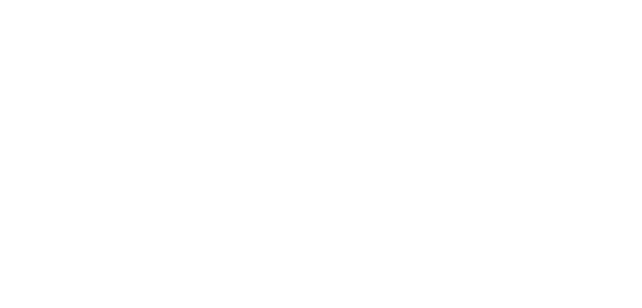 DEBEX GmbH